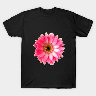 A Resplendent Gerbera T-Shirt